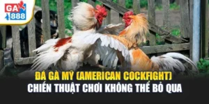 Đá Gà Mỹ (American Cockfight) 2 Các lỗi hay gặp khi chơi cần tránh
